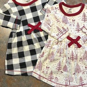 Touched By Nature Organic Cotton 3-6 mo Dresses Set of 2 Winter